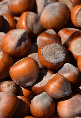 hazelnuts-3783066_1280